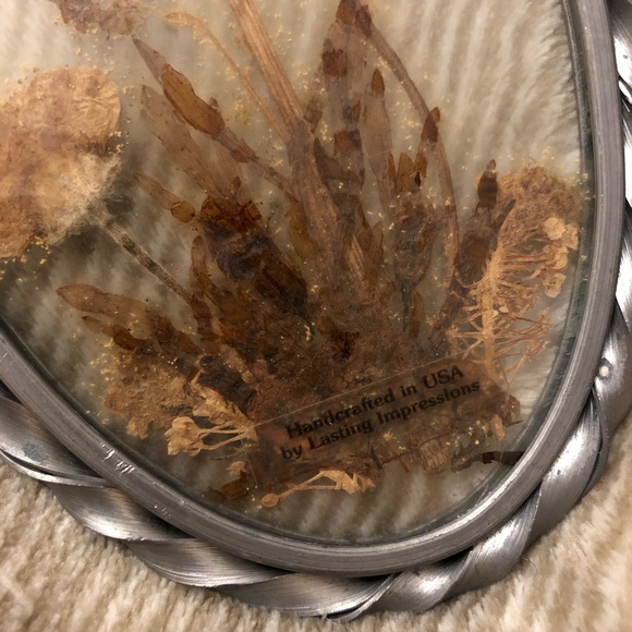 Vintage pressed flowers suncatcher set - Picture 6 of 7